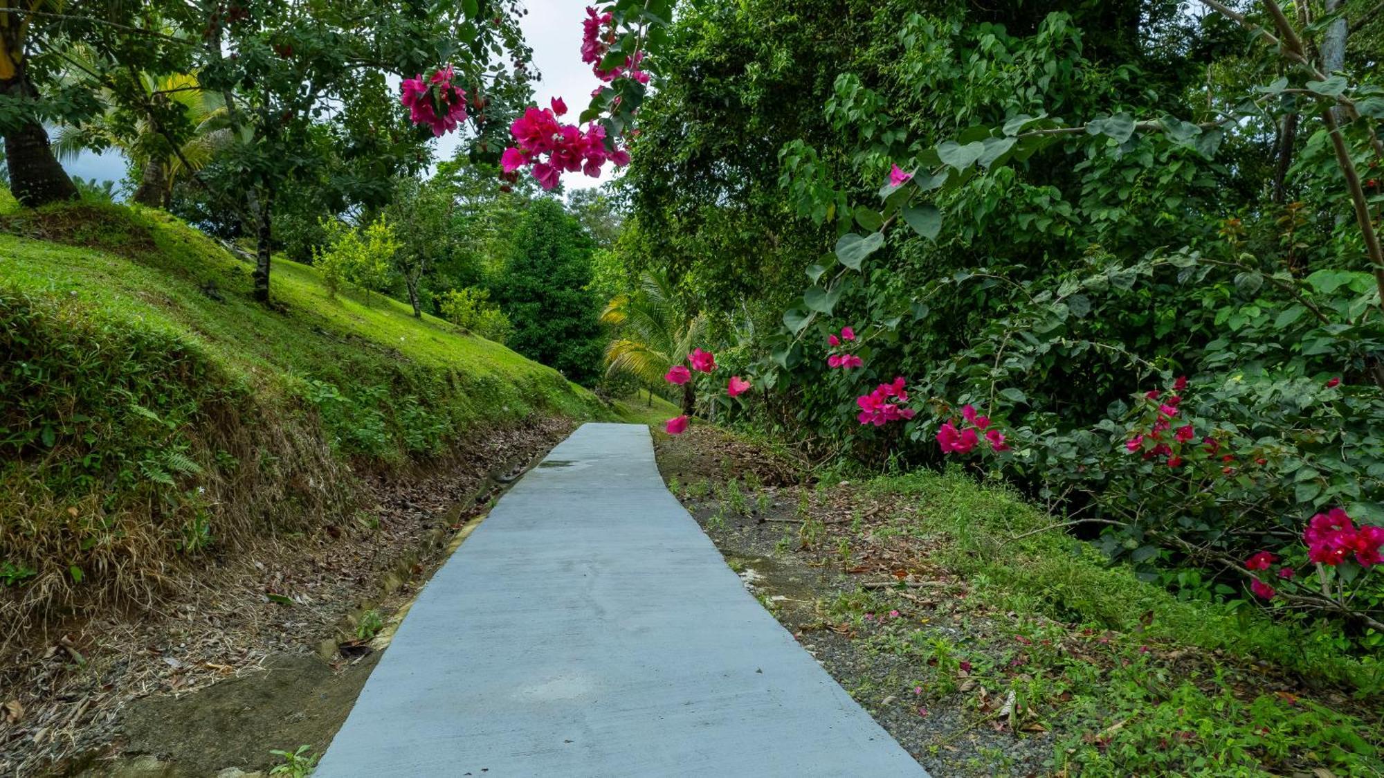 Serenity Rainforest Condos La Fortuna Екстер'єр фото